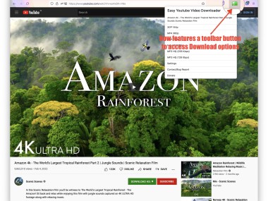 Easy Youtube Video Downloader