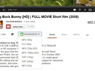 Easy Youtube Video Downloader