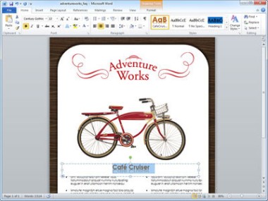 Microsoft Office 2010 Professional Plus