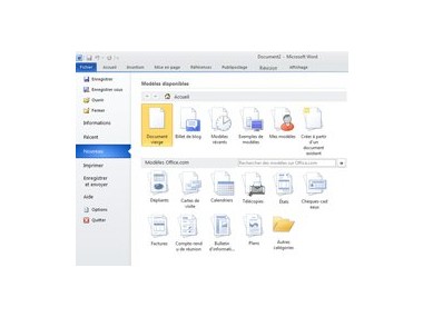 Microsoft Word 2010